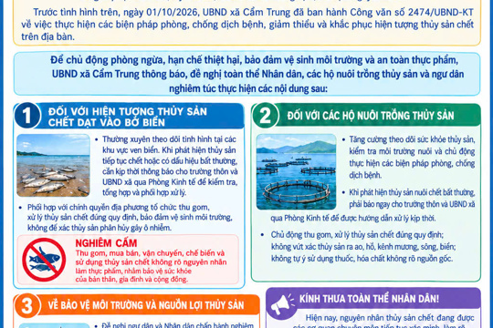 Xã Cẩm Trung, tỉnh Hà Tĩnh tăng cường các biện pháp phòng, chống dịch bệnh, giảm thiều, khắc phục thủy sản chết trên địa bàn
