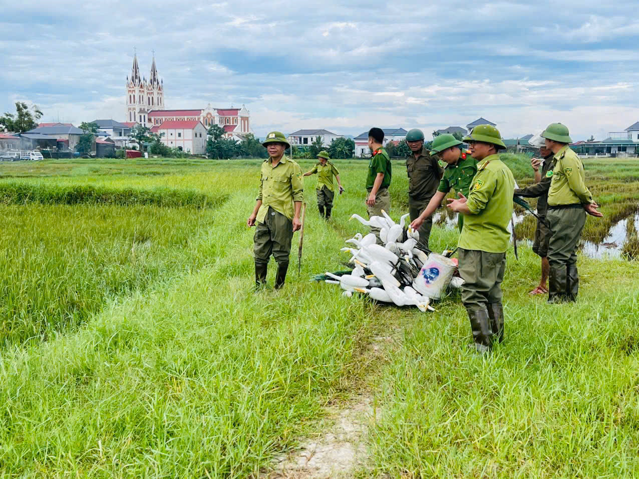 Công an xã Cẩm Trung chủ động phòng ngừa, đấu tranh với các hành vi săn bắt chim trời