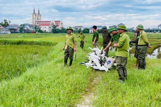 Công an xã Cẩm Trung chủ động phòng ngừa, đấu tranh với các hành vi săn bắt chim trời