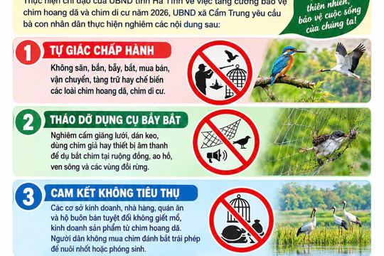 Tuyên truyền về việc Tăng cường bảo vệ các loài chim hoang dã, chim di cư